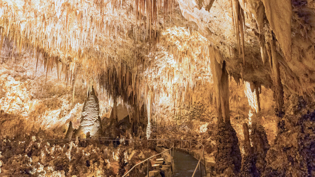 Carlsbad Caverns National Park