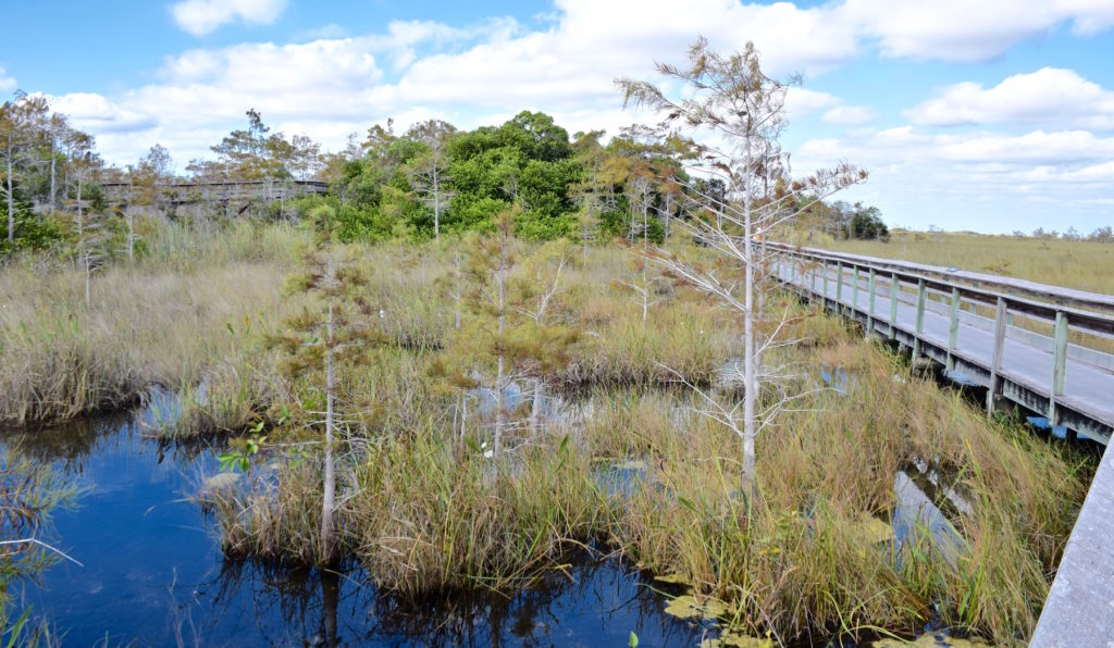 Parc national des Everglades