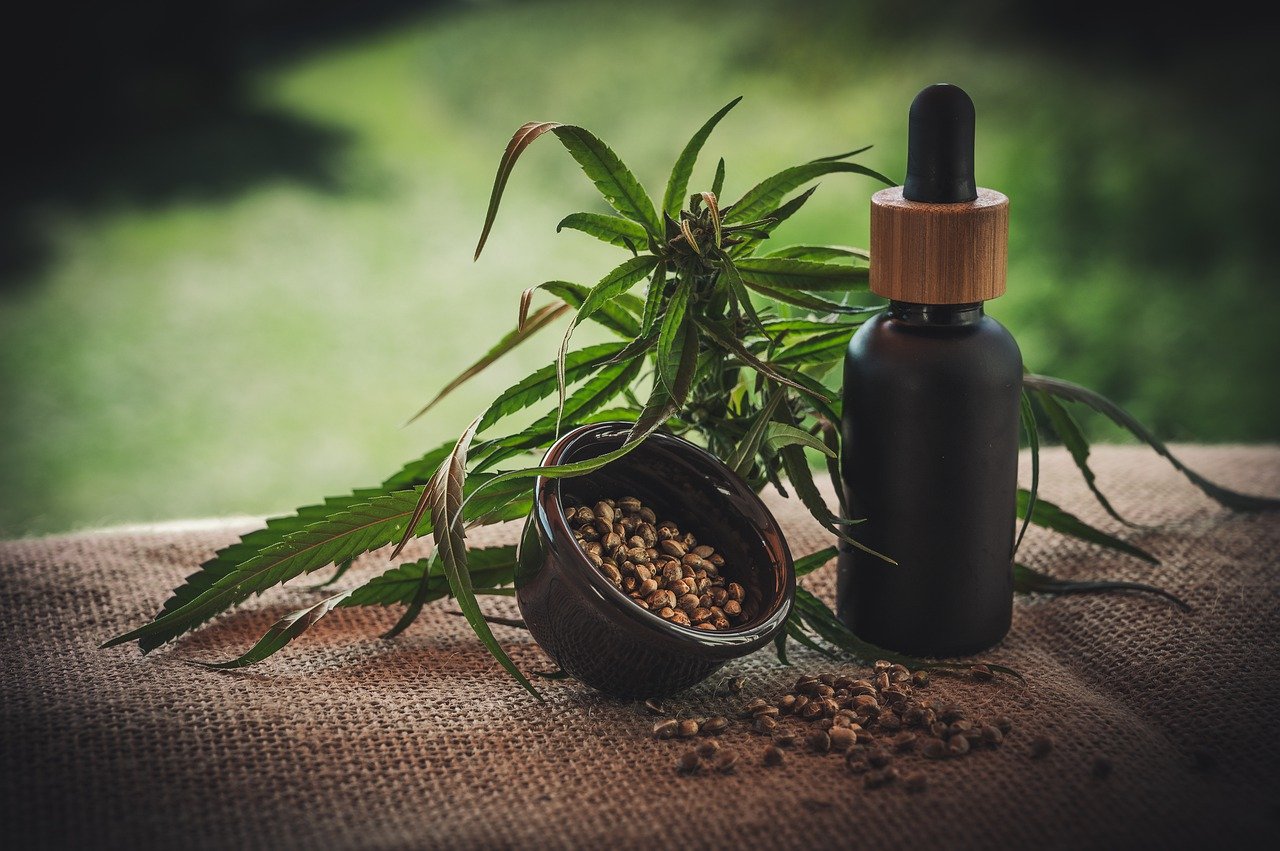 graines de cannabis