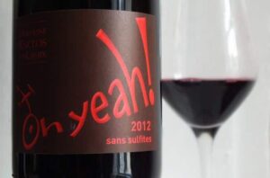 vin sans sulfites