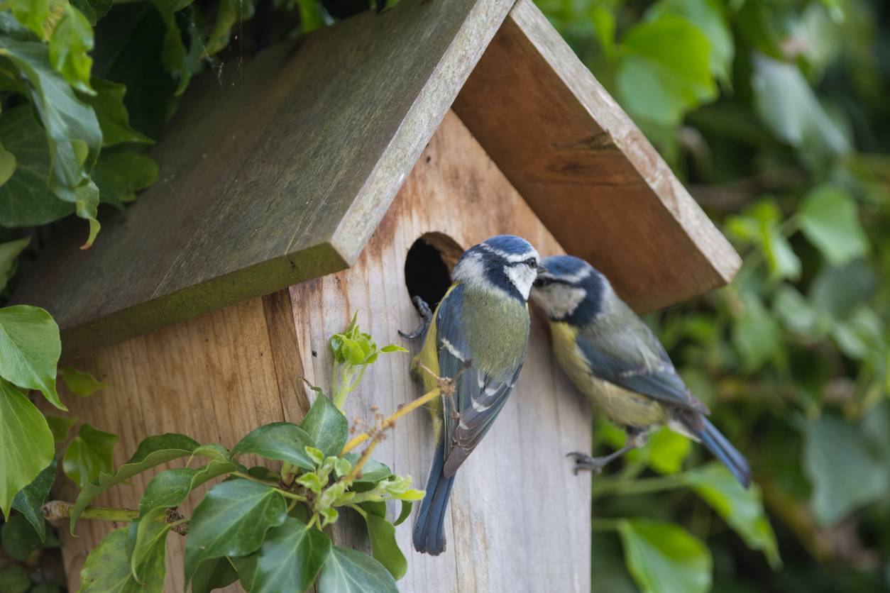 des accessoires pour l'aménagement de jardin