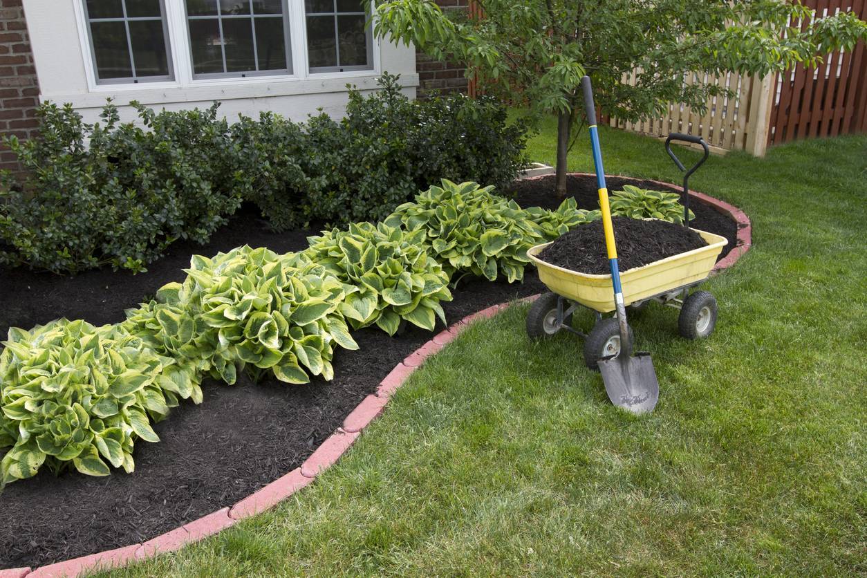 Entretien de jardin et des plantes