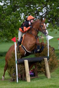 saut d'obstacle à cheval